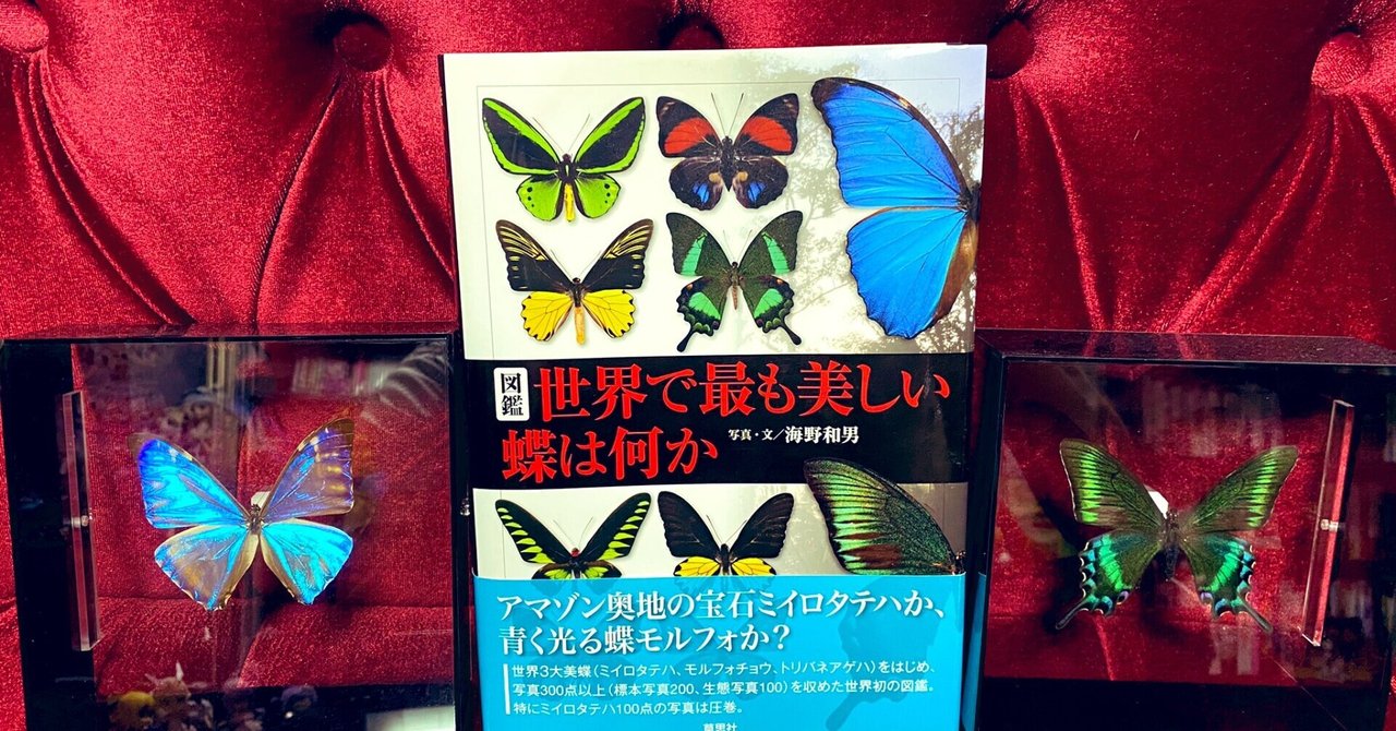 Twitterに投稿した日記集 発狂しているときに客が来たので 他 12月21日 31日 にゃるら Note Twitterに投稿した日記集 発狂しているときに客が来たので 他 12月21日 31日 にゃるら Note