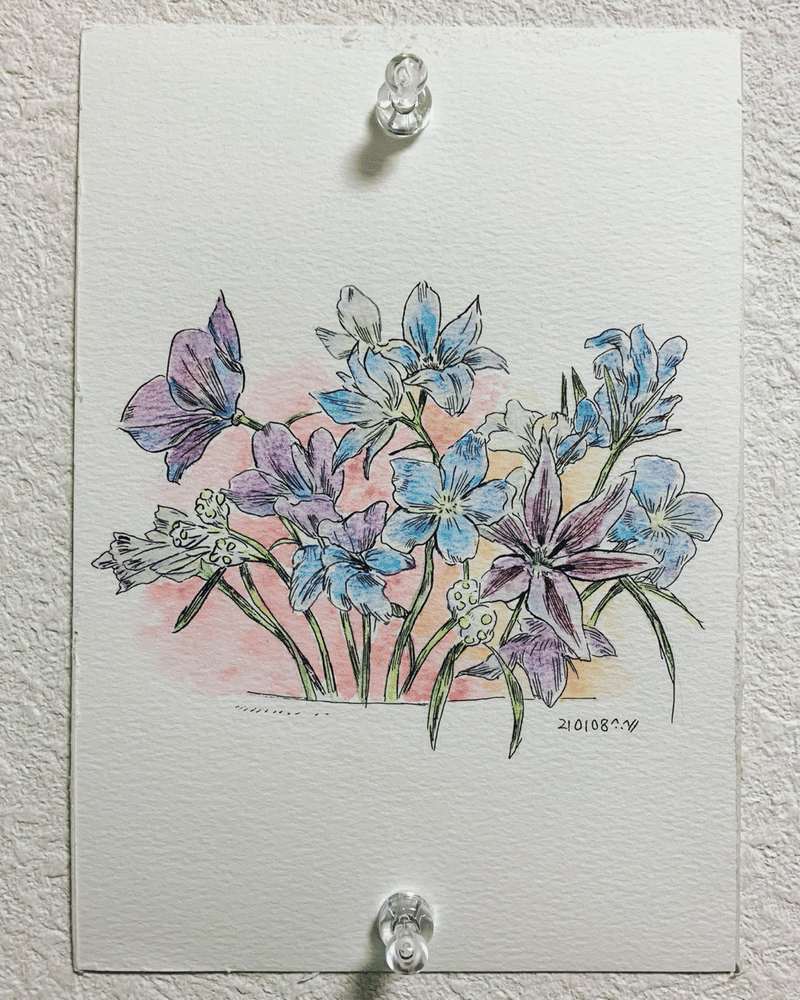 ボールペンと水彩色鉛筆で描いた花 ｼｬﾑ Note