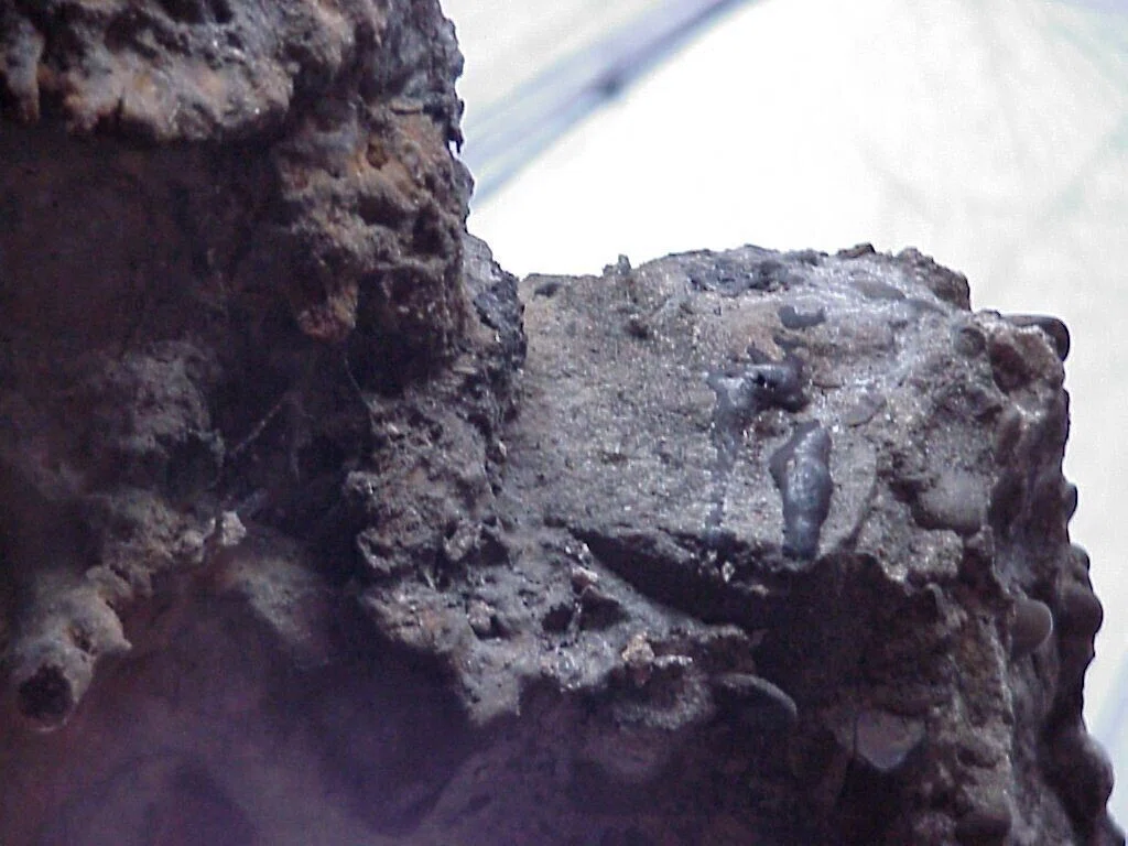 画像11