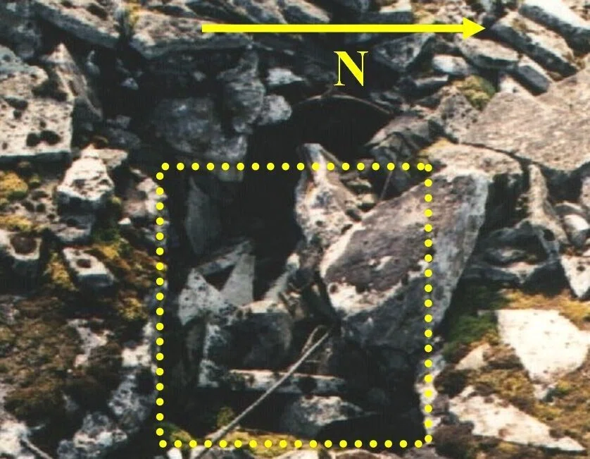 画像12