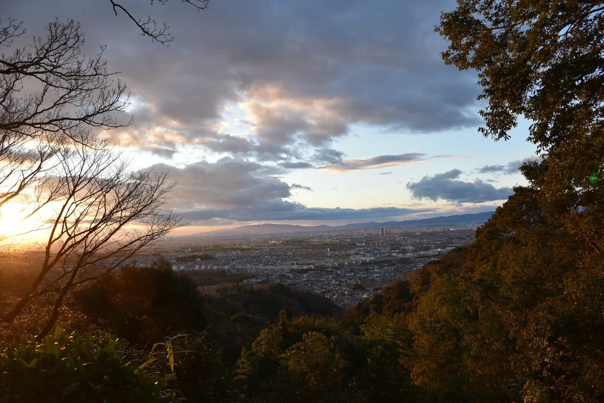 画像6
