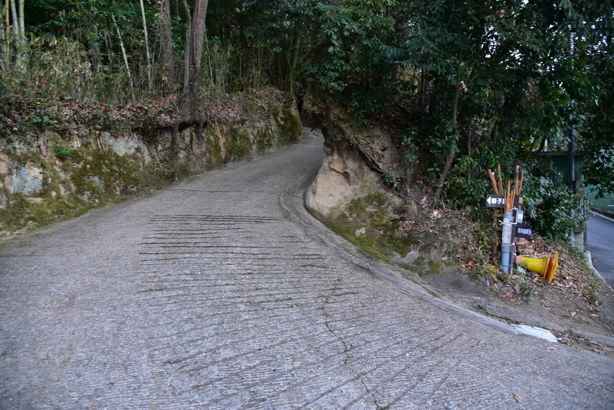 画像7