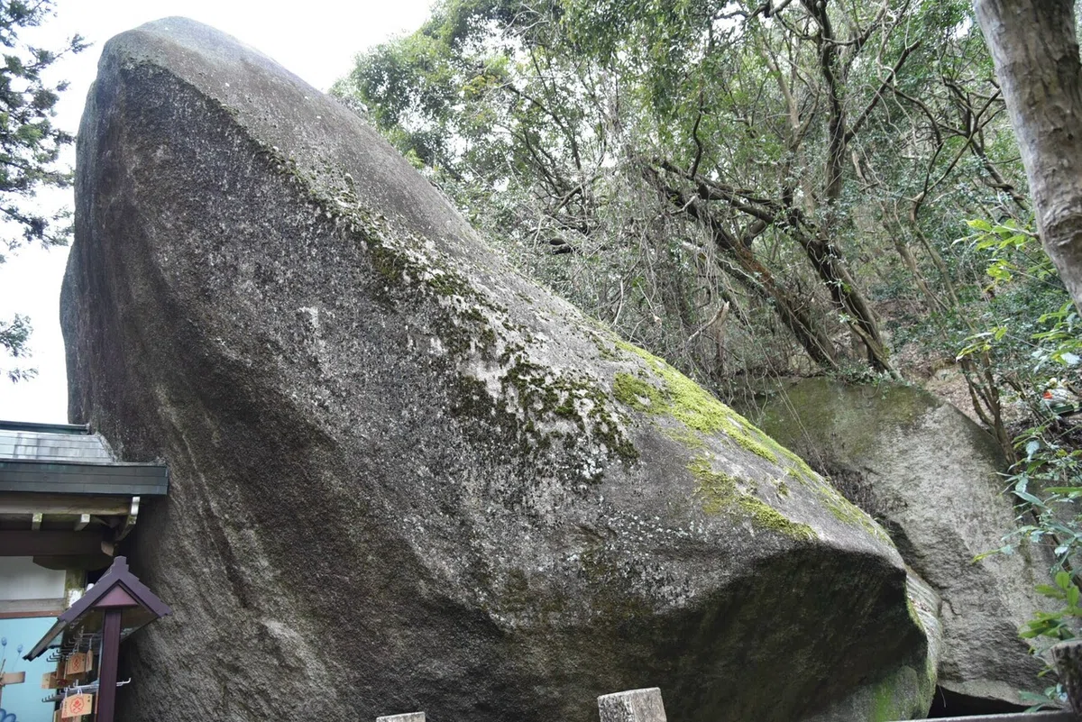 画像9