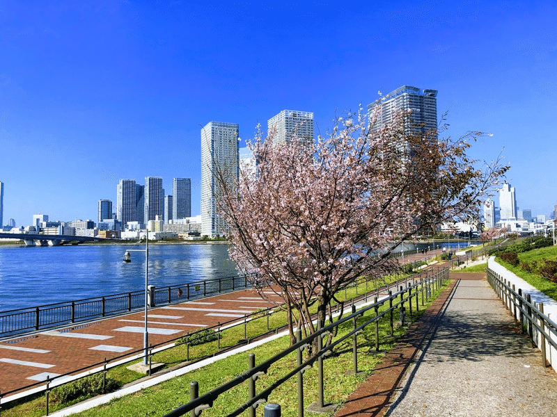 おすすめ湾岸散歩 豊洲編 東京湾岸散歩 Note