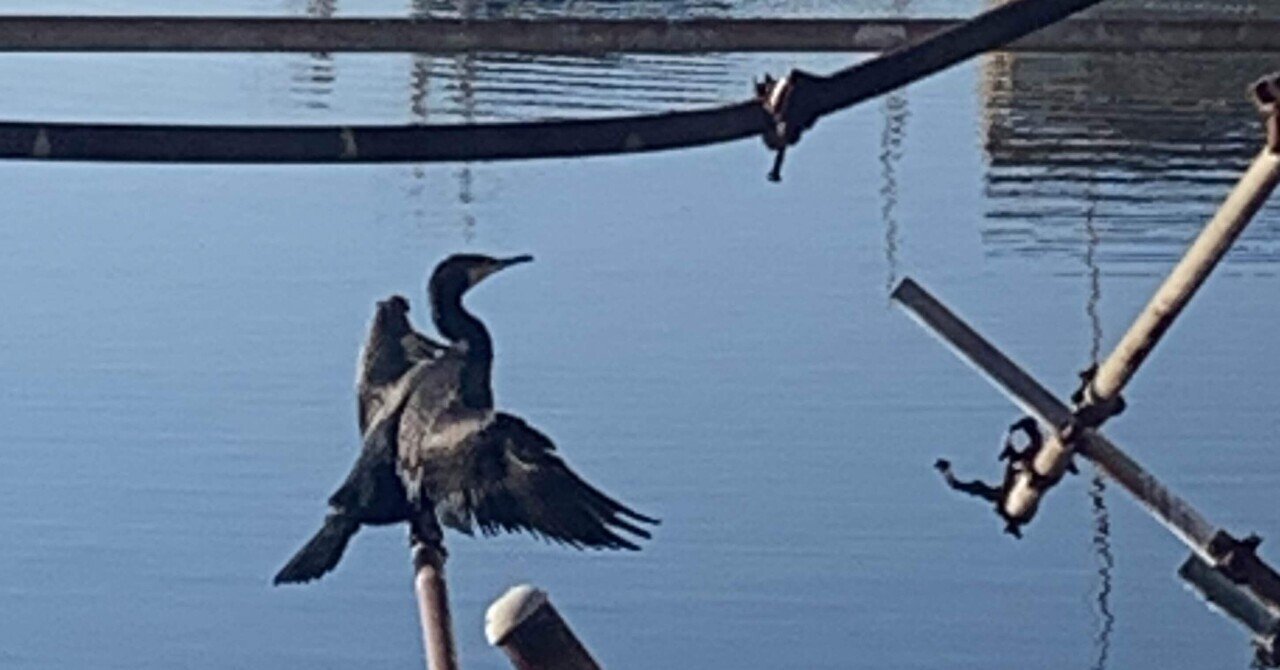 翼を広げる意味 熊谷香里 芸術家 Note