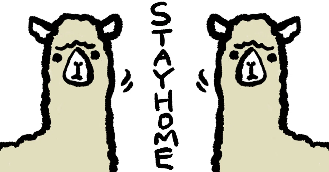 Get Through Staying Home! My Favorite Items for Staying Home｜中目黒土産店