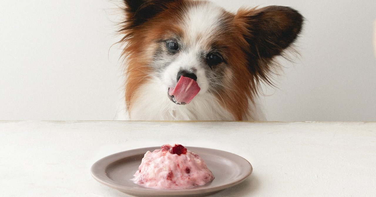 kcal 混ぜて盛るだけ 冷凍いちごとヨーグルトのドームケーキ 犬ごはん先生 いちかわあやこ オフィシャルブログ Powered By Ameba