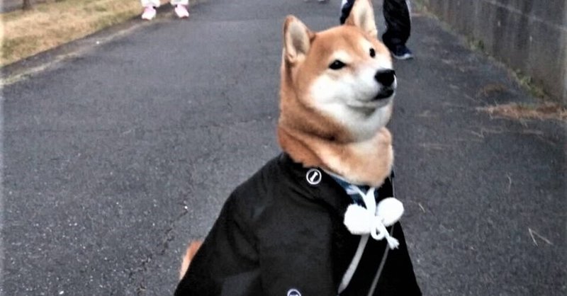 高価な犬 の新着タグ記事一覧 Note つくる つながる とどける