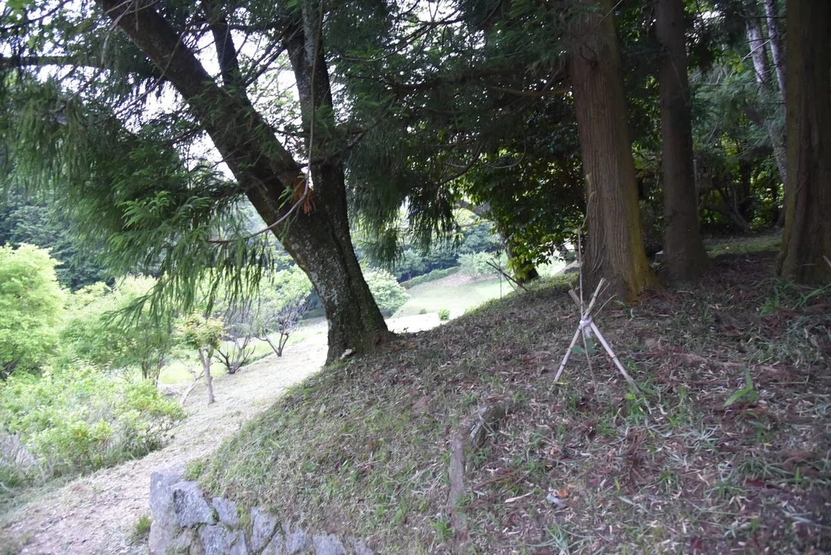 画像2