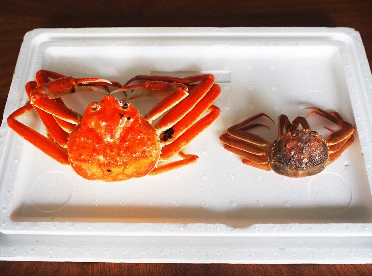 ひと月半限定の冬の味覚 美味しさが詰まったコッペガニ 宮津市広報 ひと月半限定の冬の味覚 美味しさが詰まったコッペガニ 宮津市広報