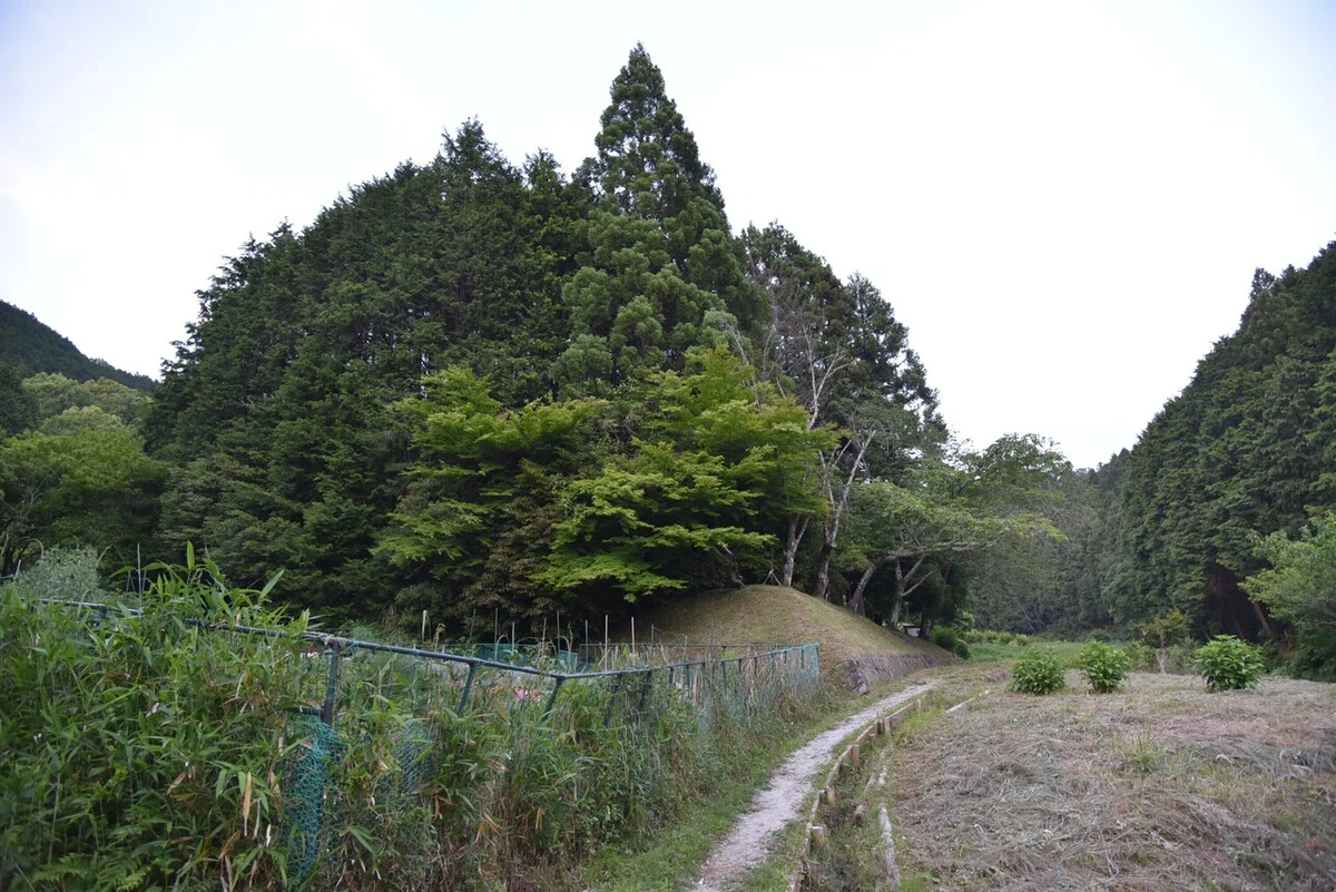 画像3