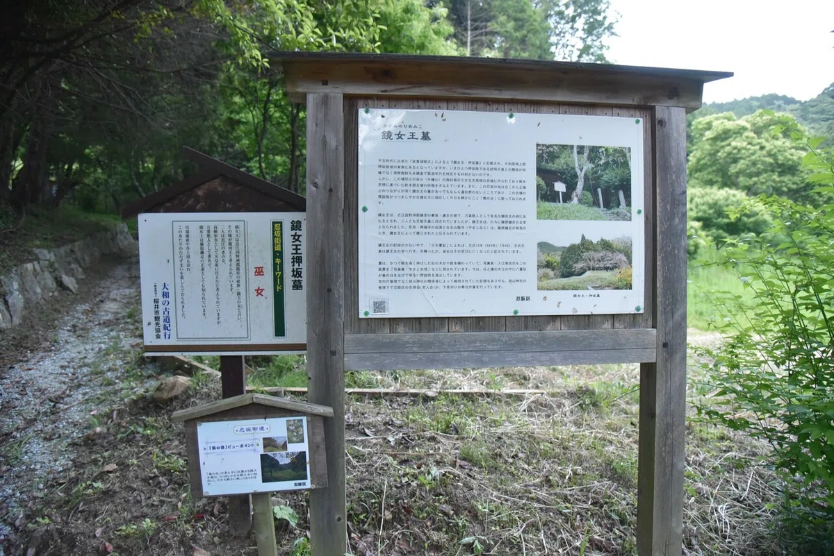 画像7