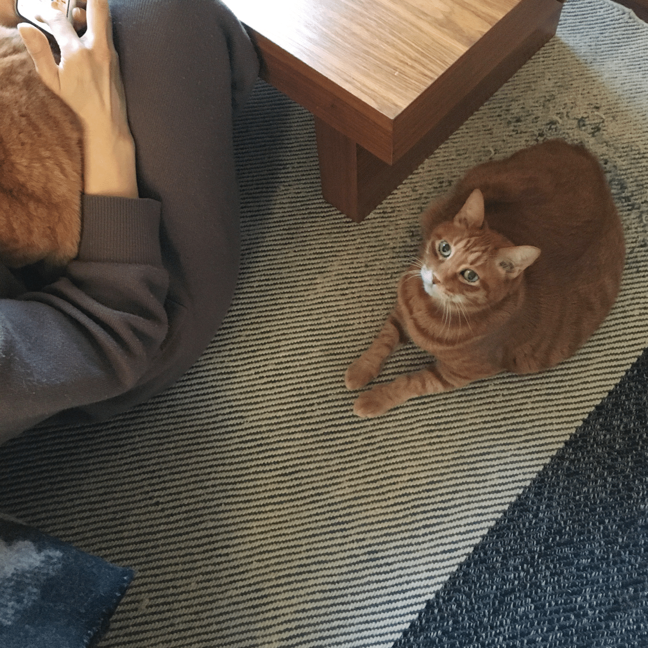 僕はボク Mizunote Note