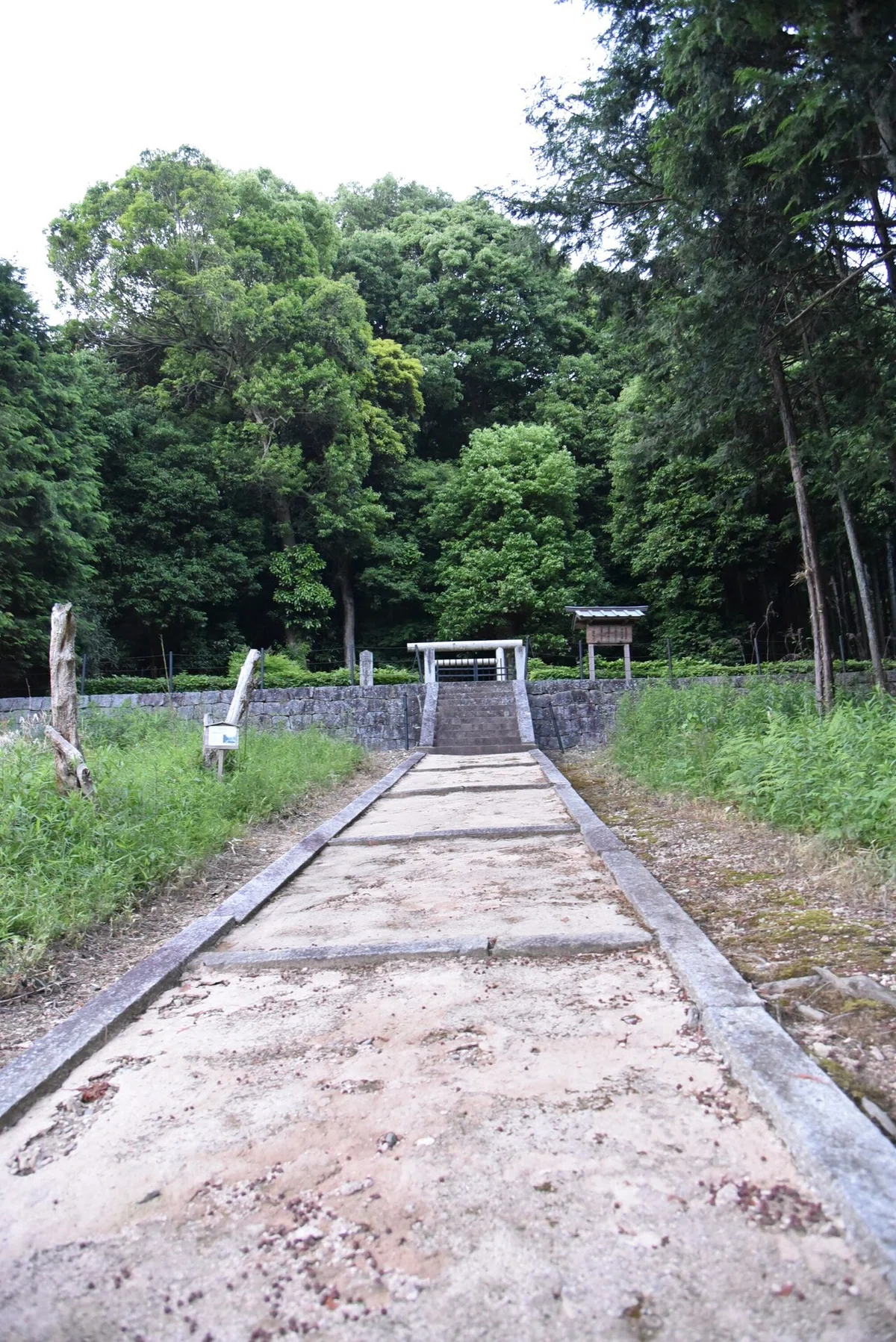 画像9