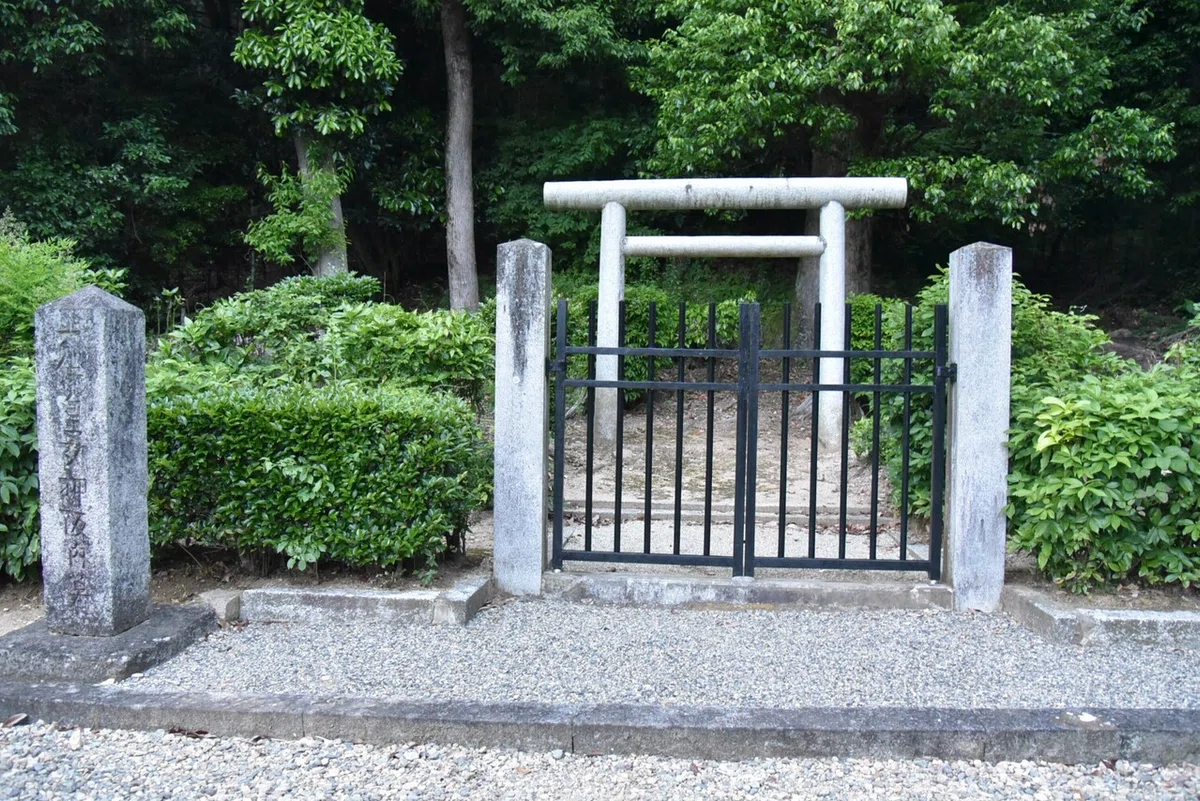 画像9