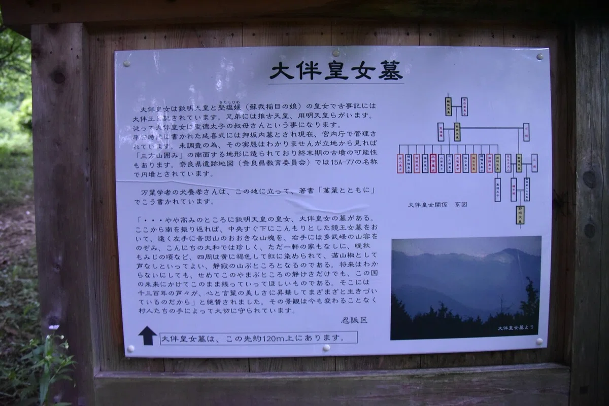 画像11