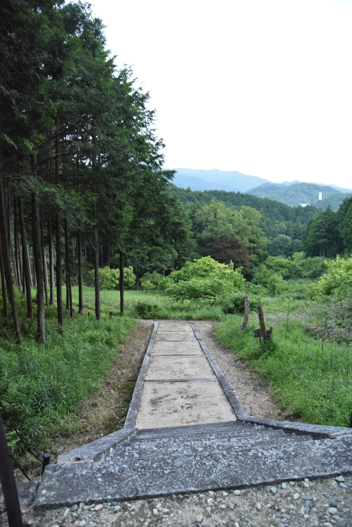 画像12