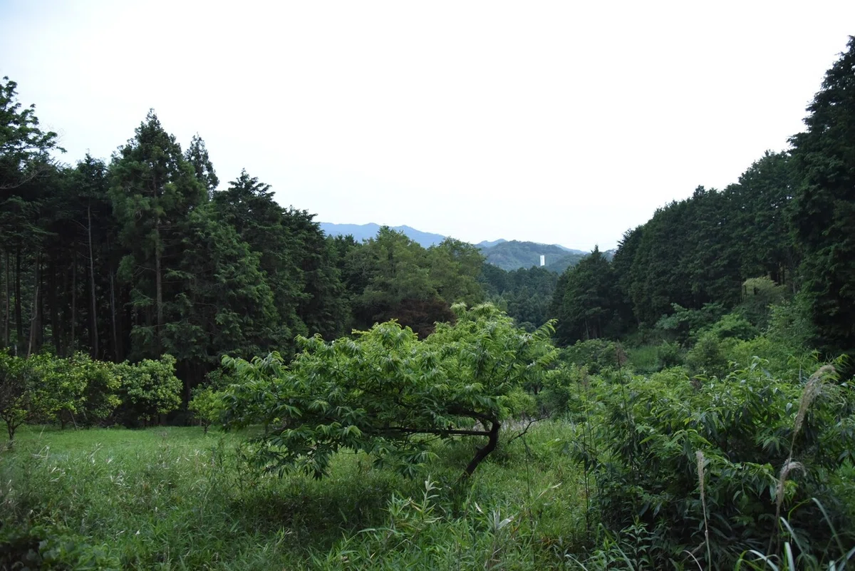 画像14