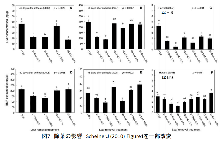 画像10