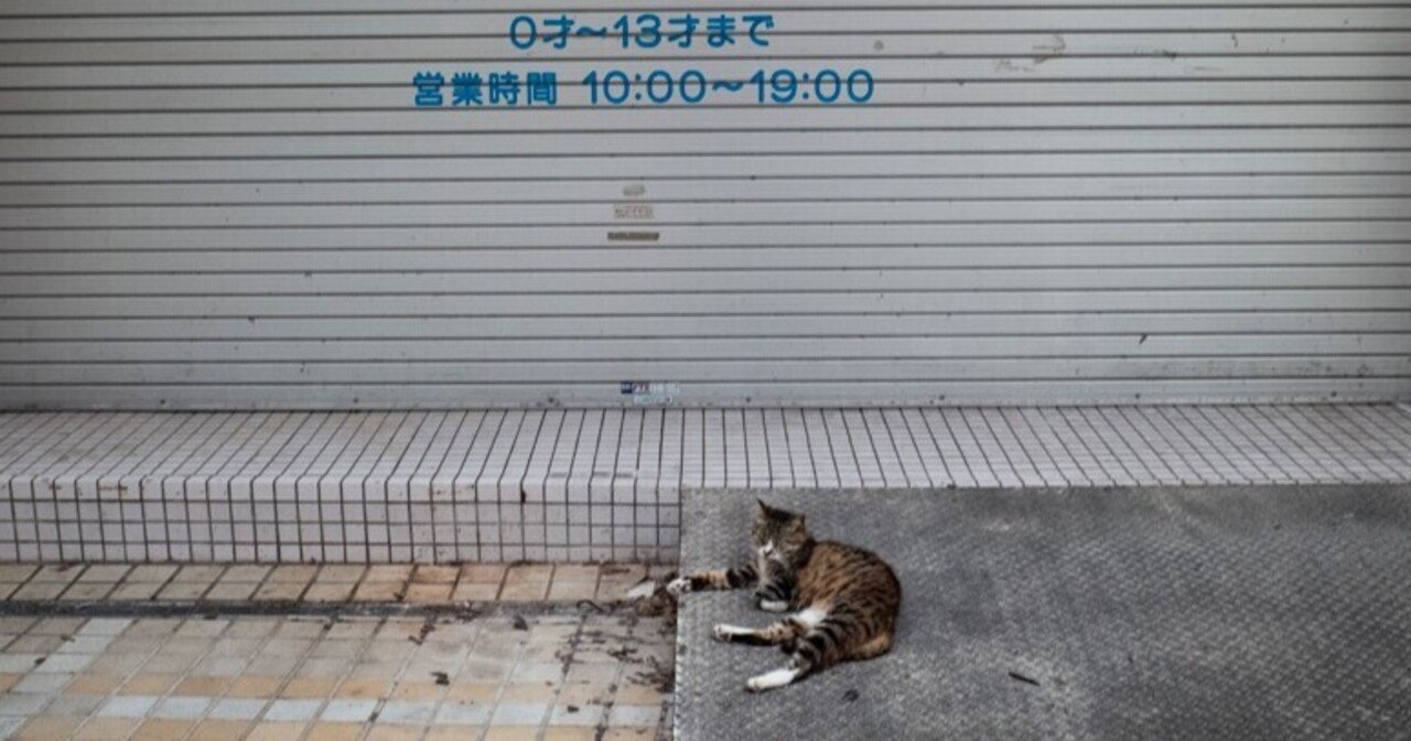猫の店番 Nagayama Naoki Note