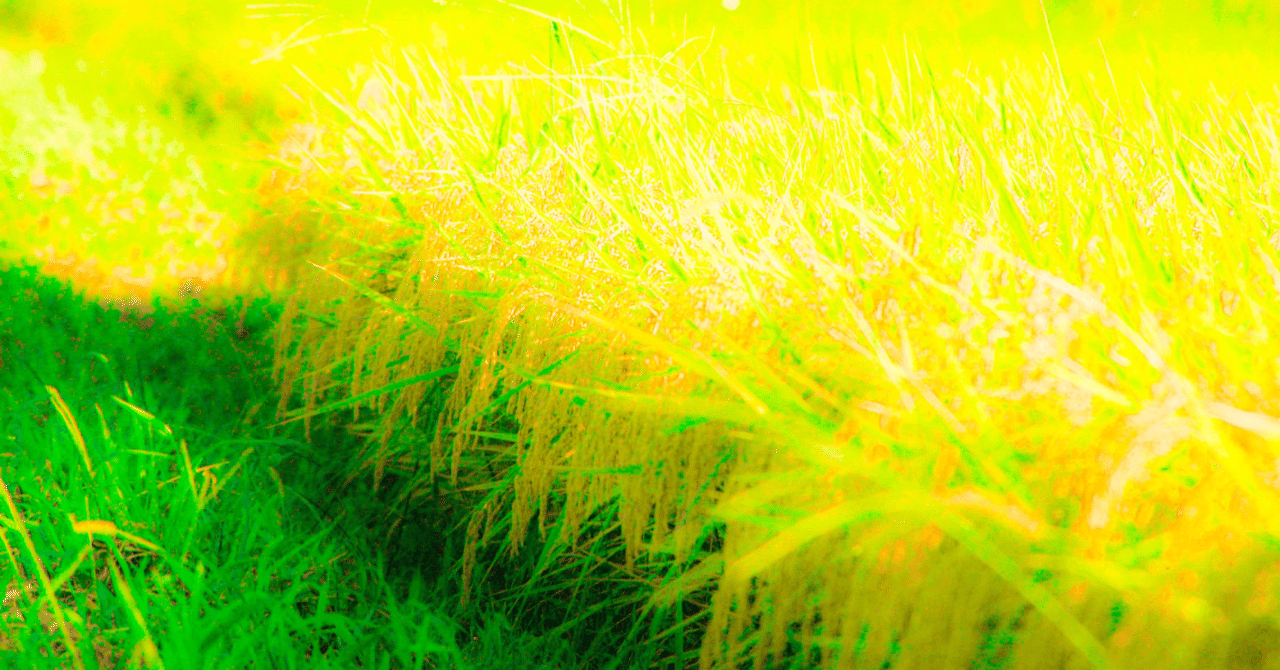 読書感想文 生きるぼくら 原田マハ あつぱんだ Note 読書感想文 生きるぼくら 原田マハ あつぱんだ Note