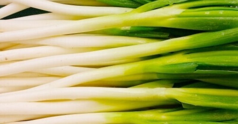 年 白ネギに 4 9高騰 はあったのか なかったのか 野菜栽培レッスンプロの読書ノート 雑記帳 Note 年 白ネギに 4 9高騰 はあったのか なかったのか 野菜栽培レッスンプロの読書ノート 雑記帳 Note