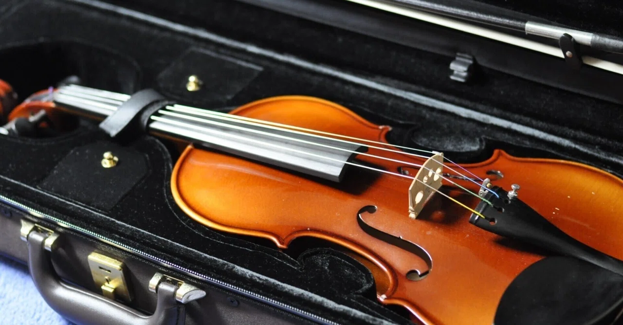 Age 30, The Story of Starting Violin #2: The Trial Lesson｜amy