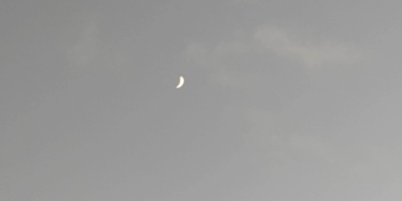 アンディ・ウォーホルを撃った女、「I SHOT ANDY WARHOL 」からの