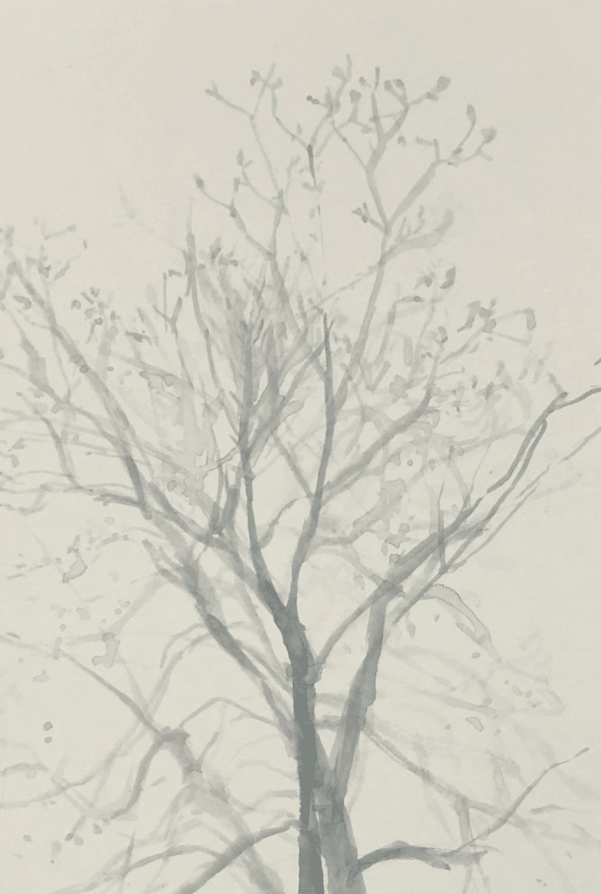 冬の木 こみゆら Note