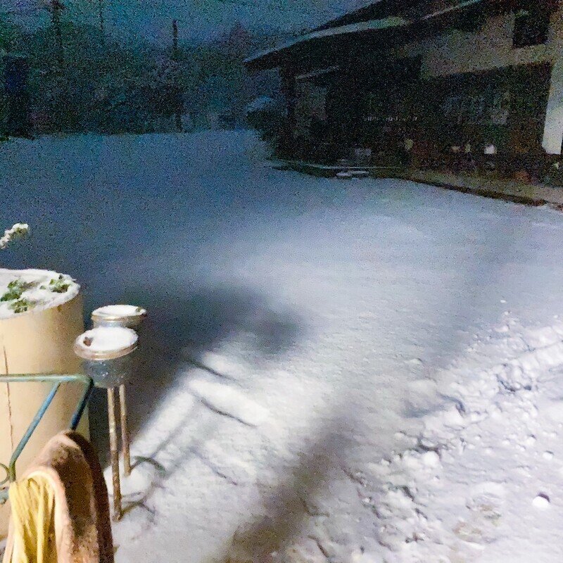 積もる雪と子供の認識の話 くろつる屋