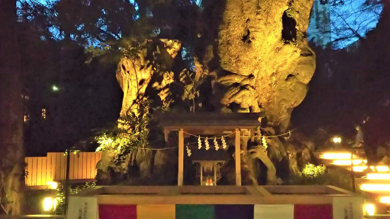 熱海旅行ブログレポ第二弾は 夜の来宮神社参拝レポ 伝説の大楠参拝の他にも ご当地スイーツのあるカフェ オシャレ なオープンテラスなど 色々楽しみのある神社 夜はライトアップもされて 手を繋ぐか繋がないかの Sayulist さゆり 恋愛小説 フランス恋物語 著者 熱海旅行ブログレポ第二弾は 夜の来宮神社参拝レポ 伝説の大楠参拝の他にも ご当地スイーツのあるカフェ オシャレ なオープンテラスなど 色々楽しみのある神社 夜はライトアップもされて 手を繋ぐか繋がないかの Sayulist さゆり 恋愛小説 フランス恋物語 著者