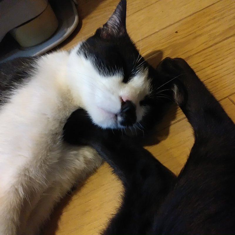 北斗真拳 の新着タグ記事一覧 Note つくる つながる とどける