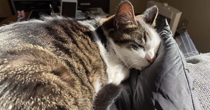 私はこんなやつ あみすけ Note