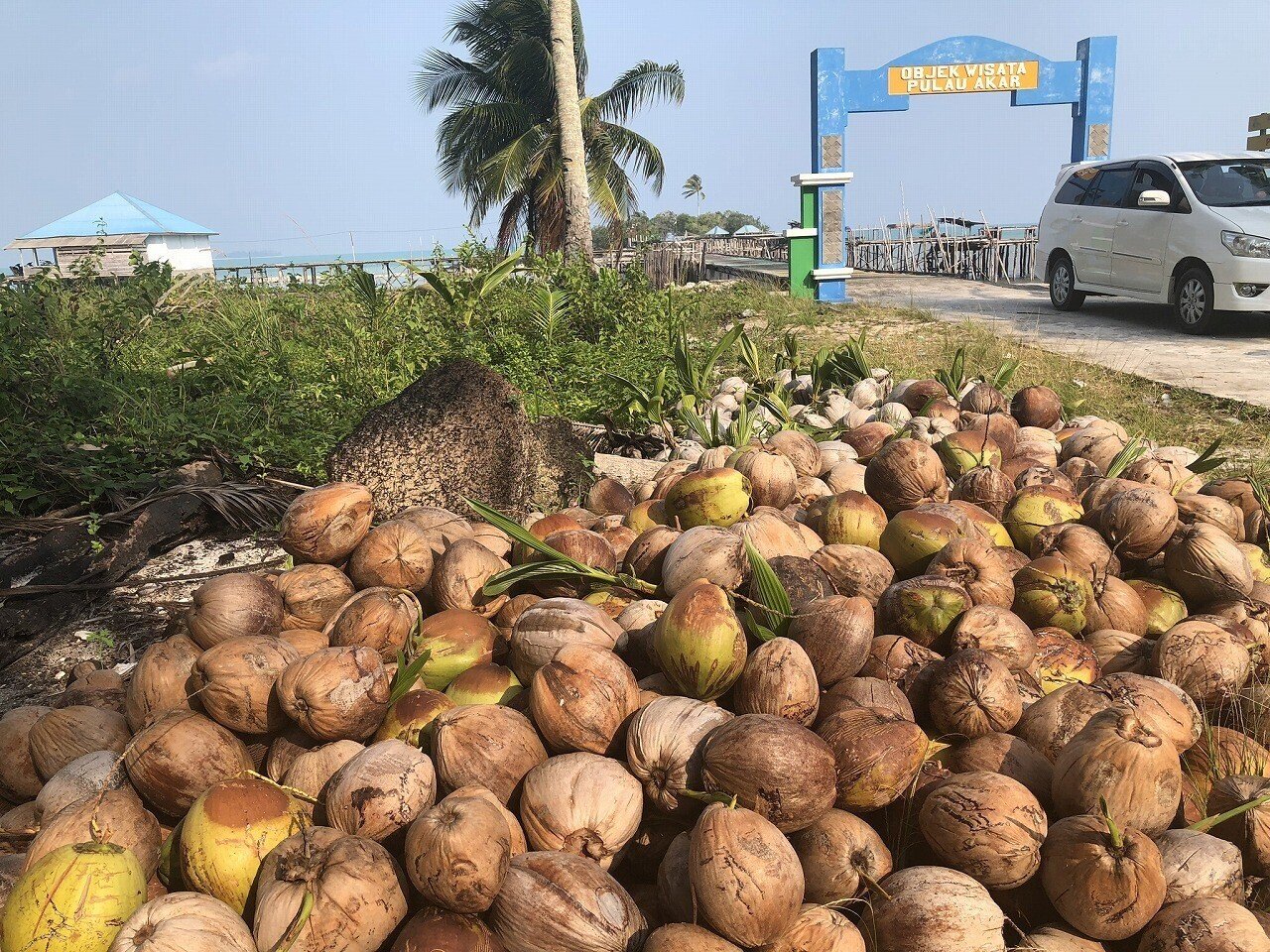 ココヤシは全ての部位が利用できる植物 Kenhappy Note ココヤシは全ての部位が利用できる植物 Kenhappy Note