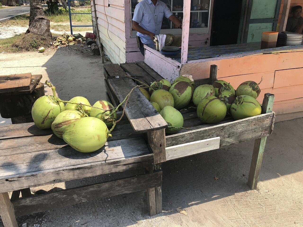 ココヤシは全ての部位が利用できる植物 Kenhappy Note ココヤシは全ての部位が利用できる植物 Kenhappy Note