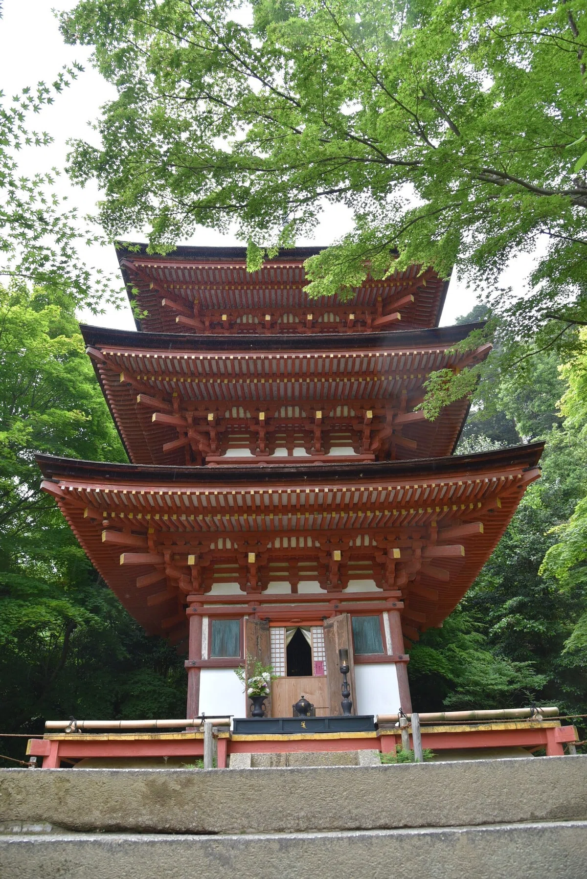 画像4