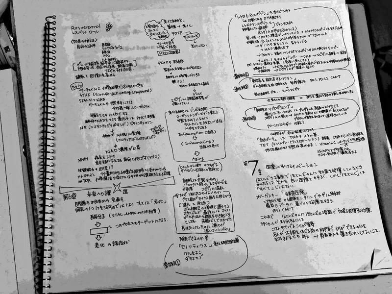 積ん読公開 じゃみまる Note