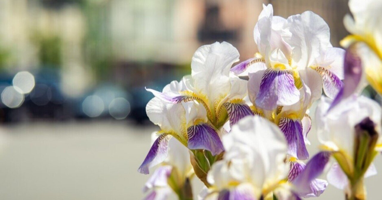 HADを使ってみた：2.要約統計量(続き)｜Almond Fish（小酒井基文）