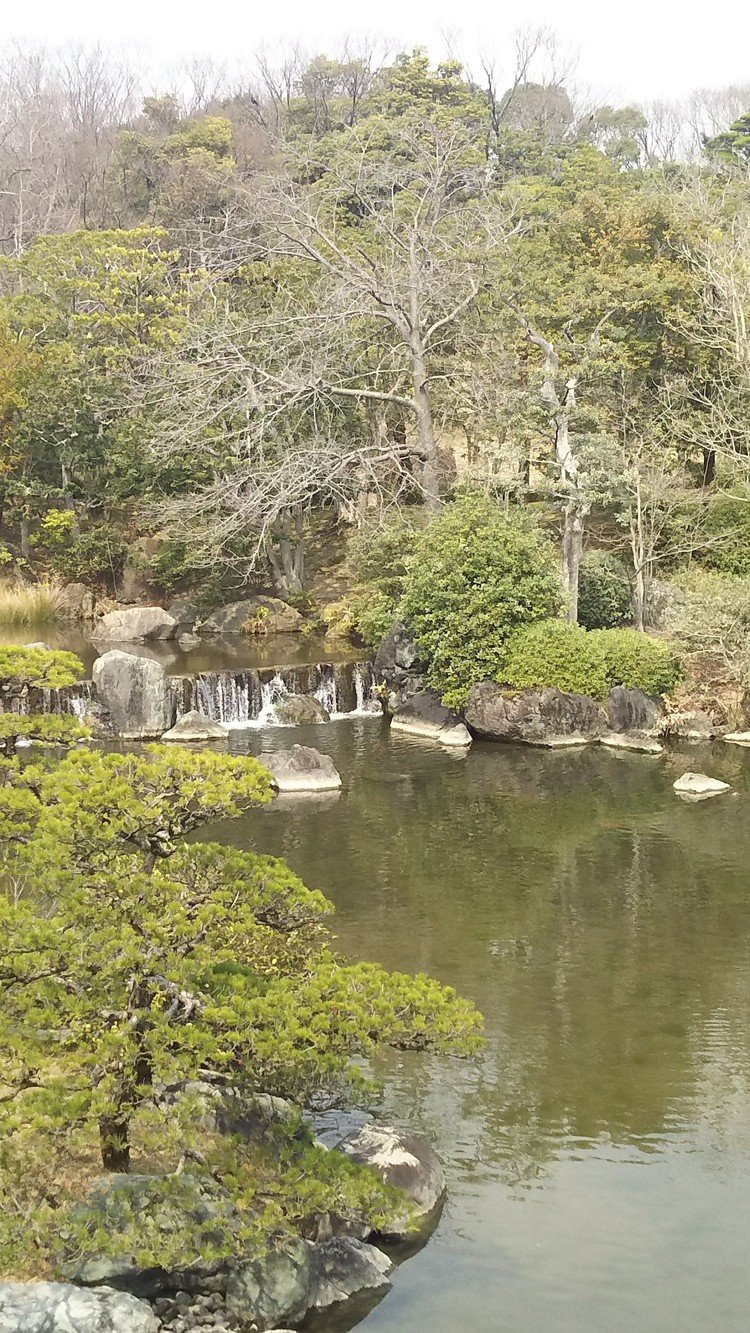 万博記念公園の日本庭園です。