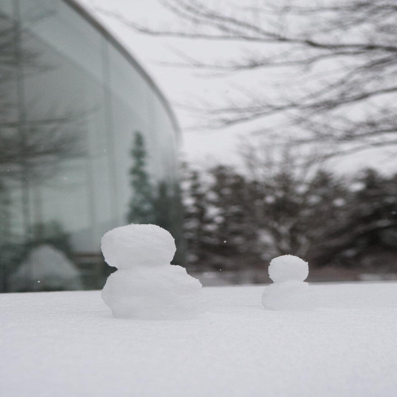 雪の美術館写真散歩 どんな形 どんな色 金沢21世紀美術館交流課