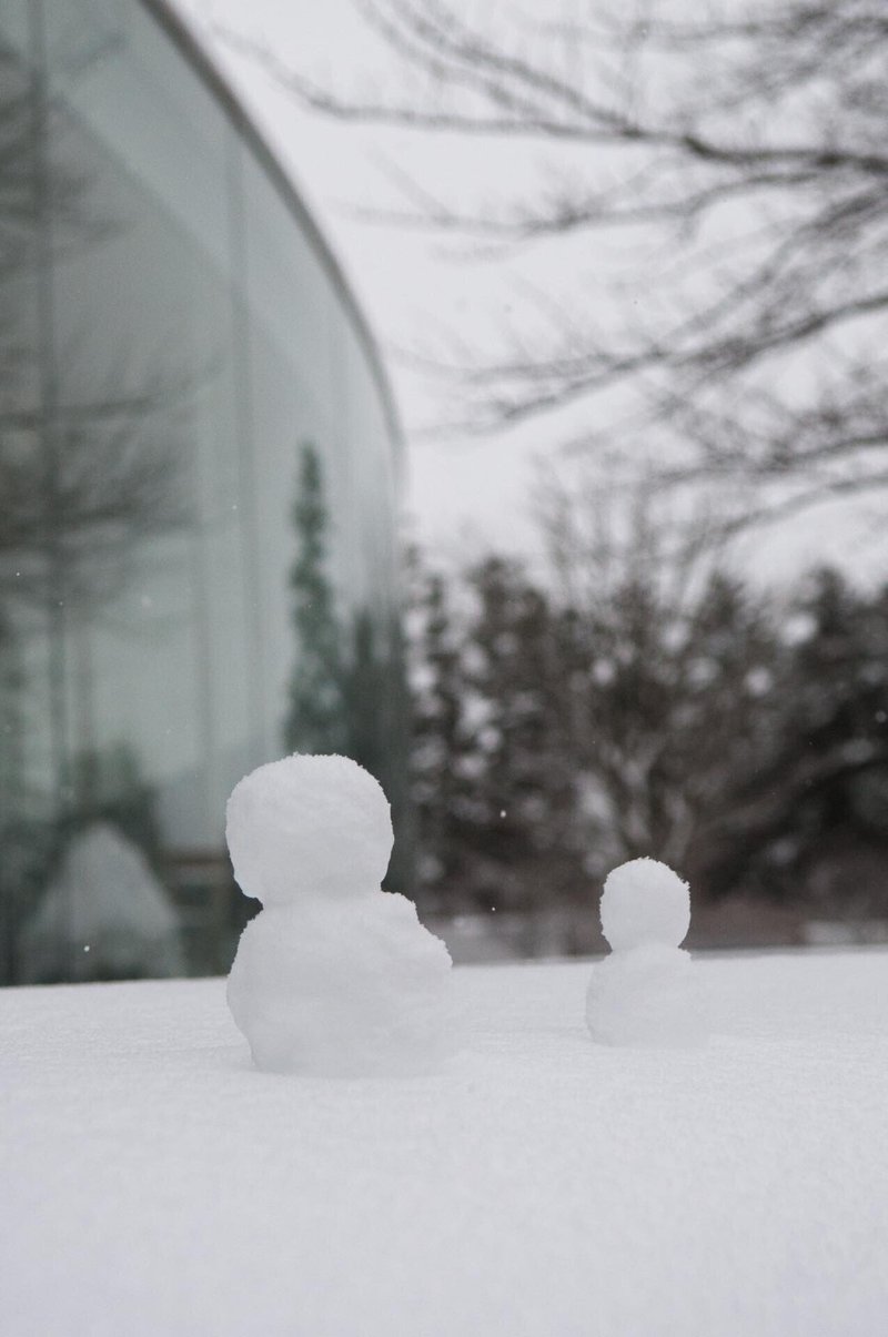 雪の美術館写真散歩 どんな形 どんな色 金沢21世紀美術館交流課 雪の美術館写真散歩 どんな形 どんな色 金沢21世紀美術館交流課