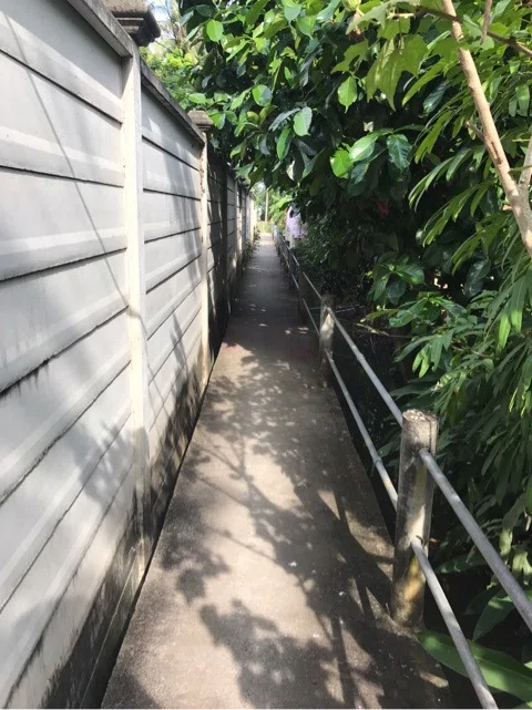 画像13