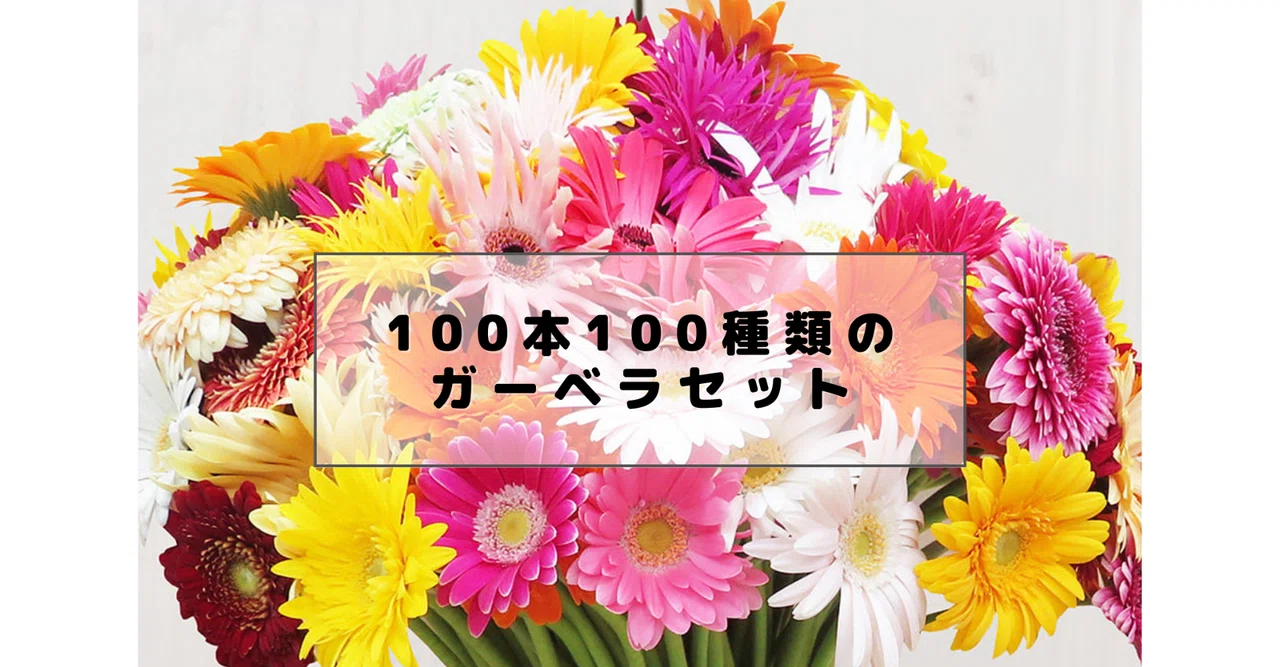 ガーベラさん専用出品 rectangle_large_type_2_3059564