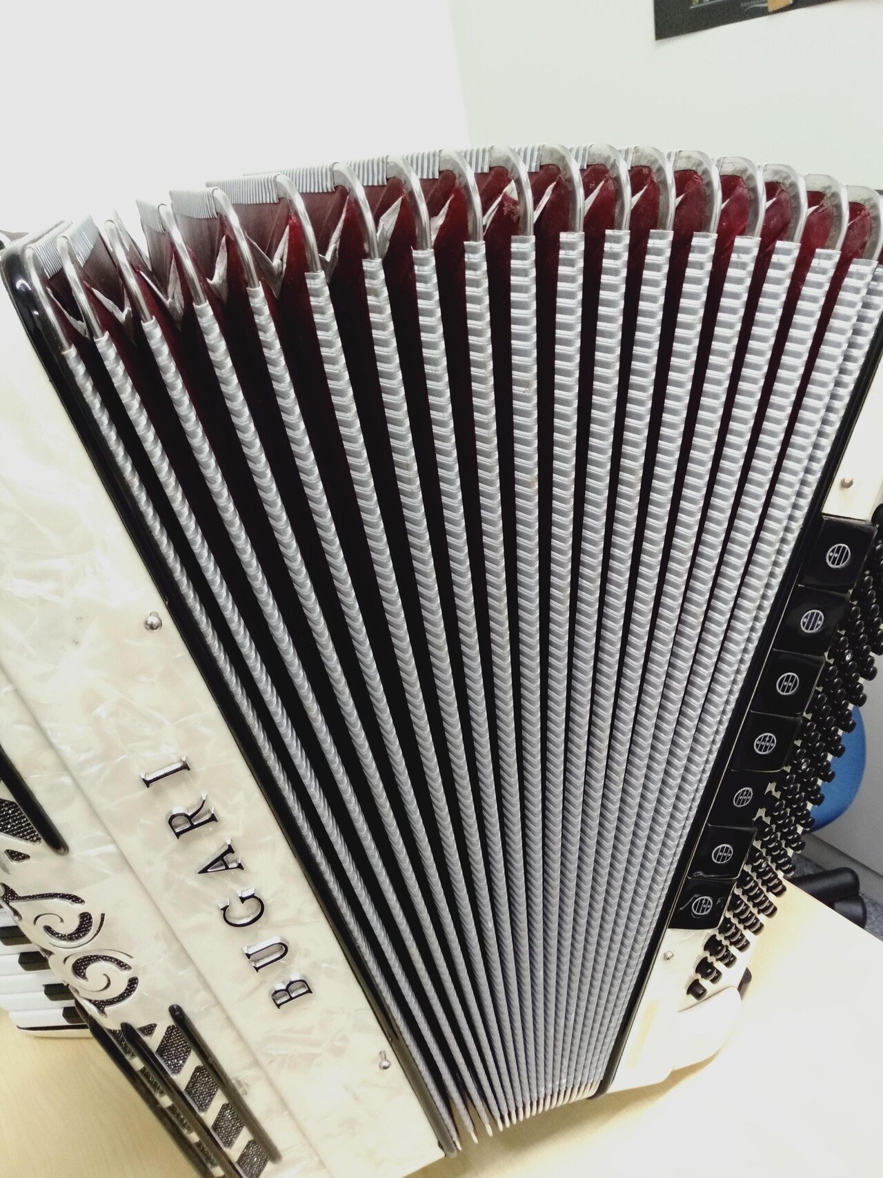 中古】BUGARI CHAMPIONCASS 260CHC｜アコーディオン横丁