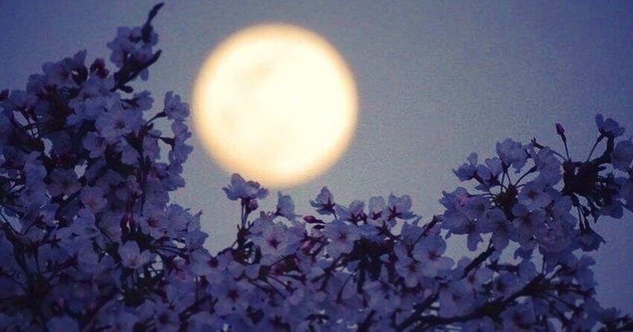 10年同棲する彼女がいるあなたに恋をした でも わたしはこの恋で絶対不幸になったりしない はるちん 複数愛者 ポリアモリー Note 10年同棲する彼女がいるあなたに恋をした でも わたしはこの恋で絶対不幸になったりしない はるちん 複数愛者 ポリアモリー Note