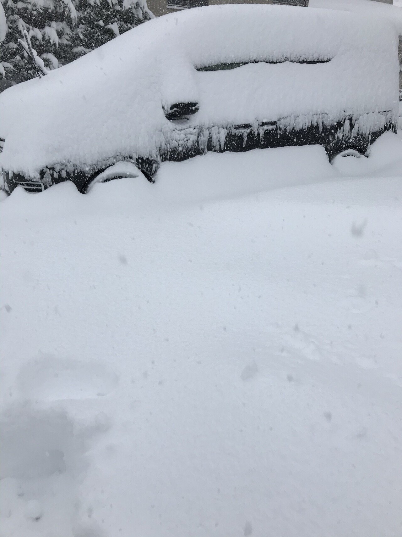 今日も1日雪かきで終わりました 常に雪が降っているのでやってもやっても終わりません 明日は屋根の雪おろしと車の救出がメインですね 今日の一言 もう腰が痛い Reikou Note 今日も1日雪かきで終わりました 常に雪が降っているのでやってもやっても終わりません 明日は屋根の雪おろしと車の救出がメインですね 今日の一言 もう腰が痛い Reikou Note