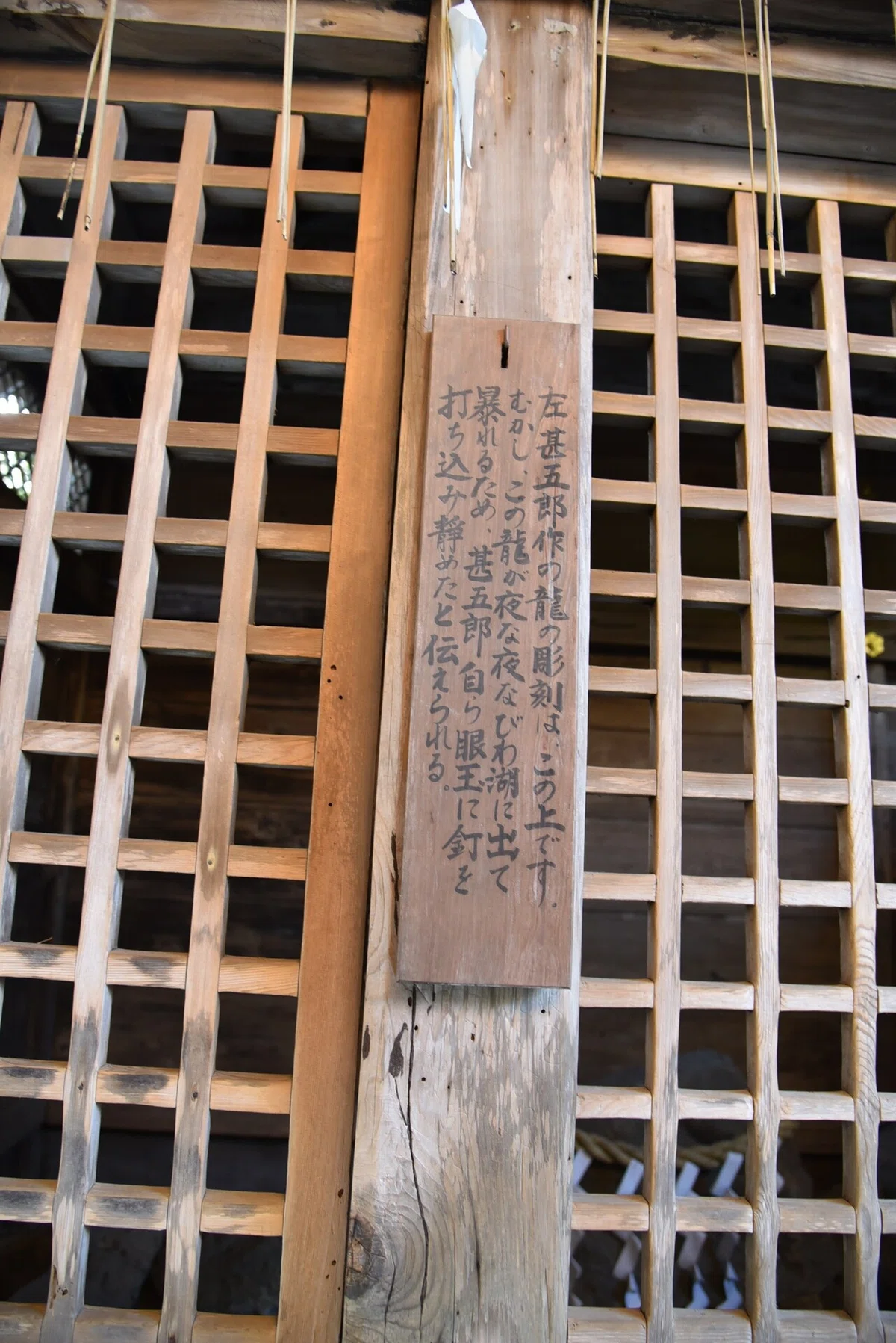 画像9