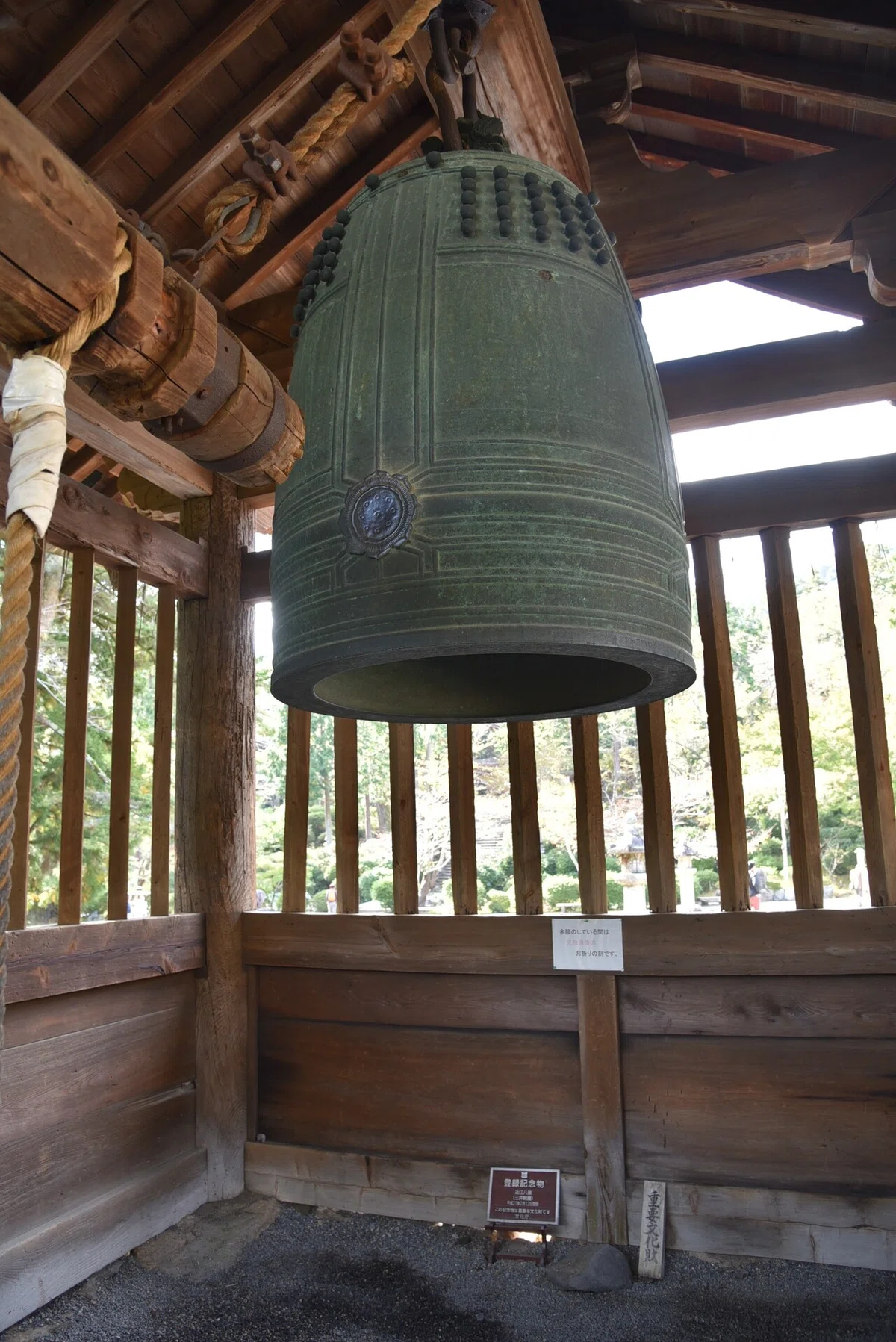 画像14