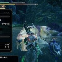 Mhxx 操虫棍の超鎧裂 巻 Note