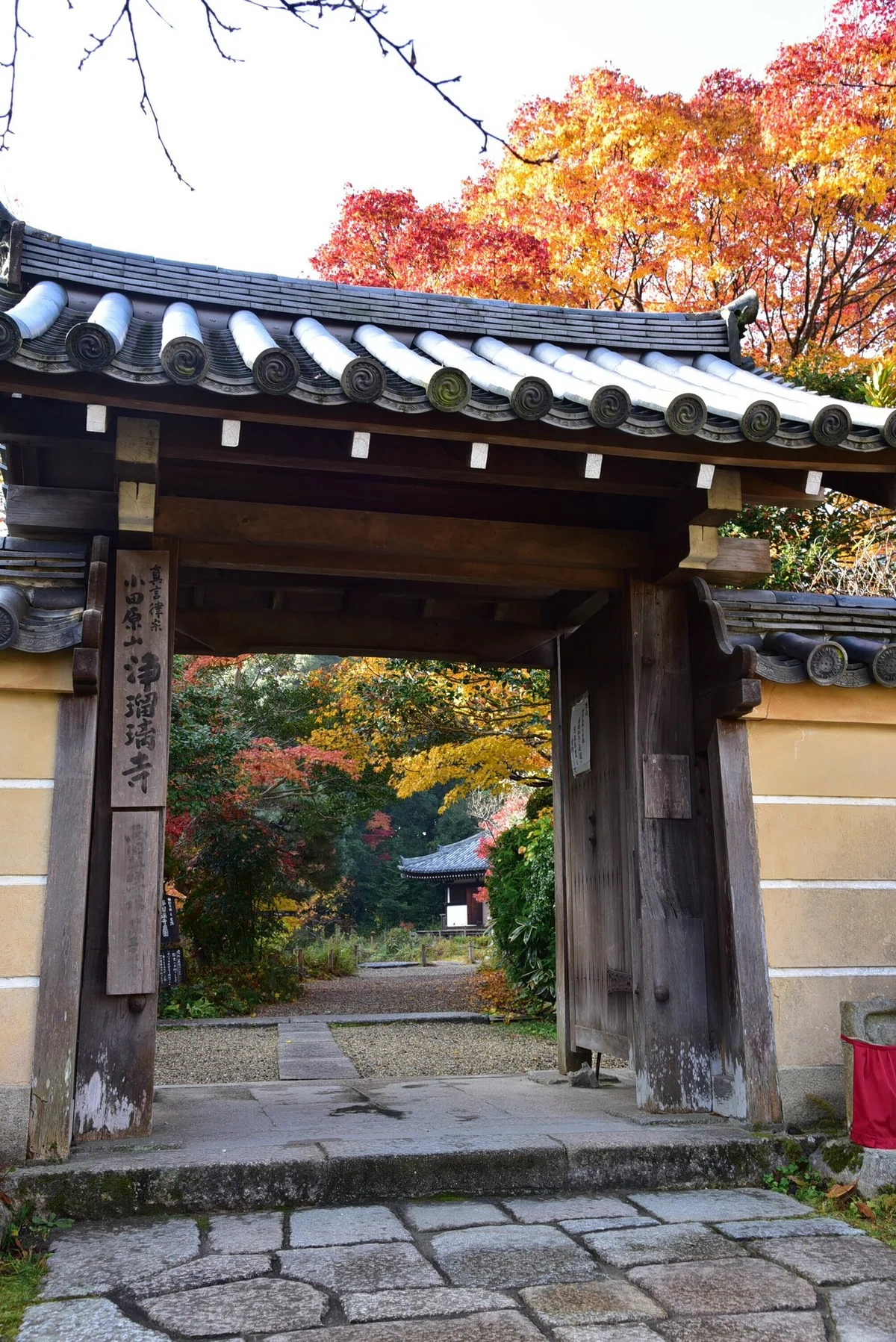 画像6